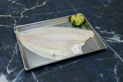 Plaice