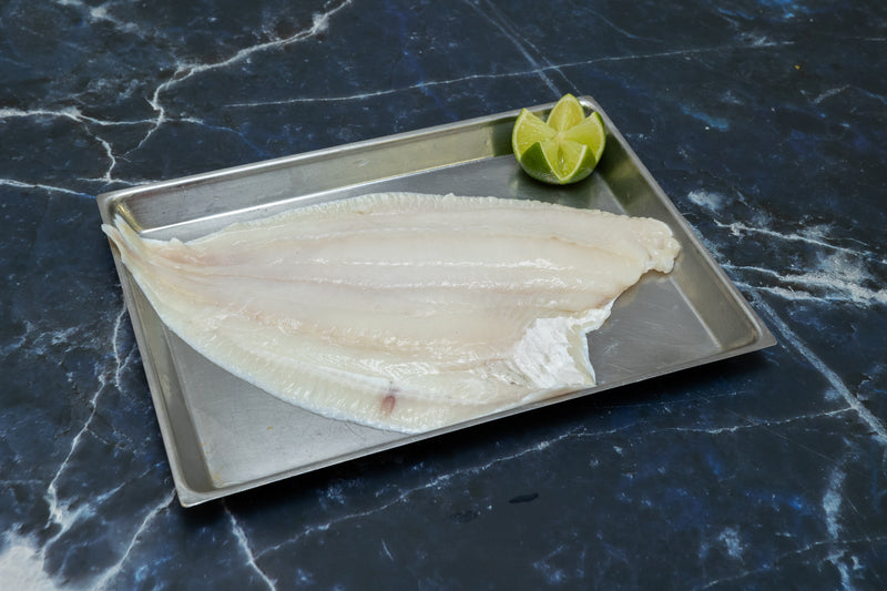 Plaice