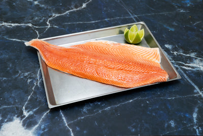 Sea trout