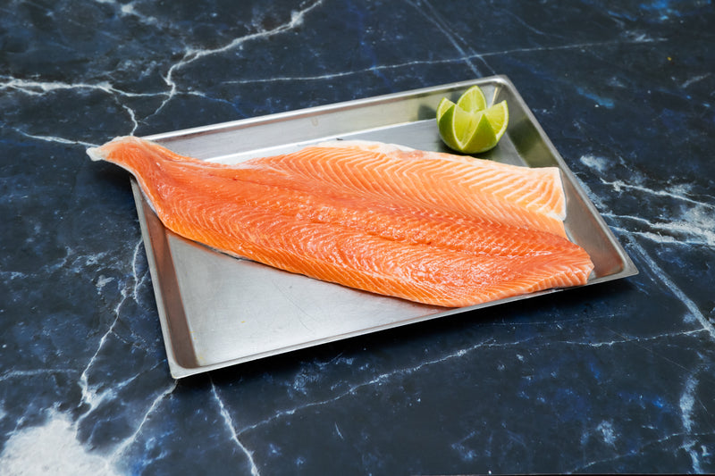 Sea trout