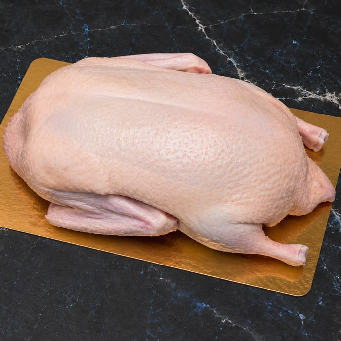 DUCK