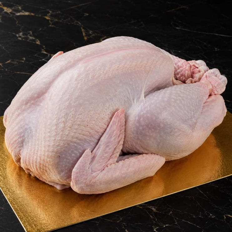 TURKEY